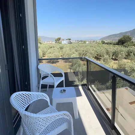 Villa Olive